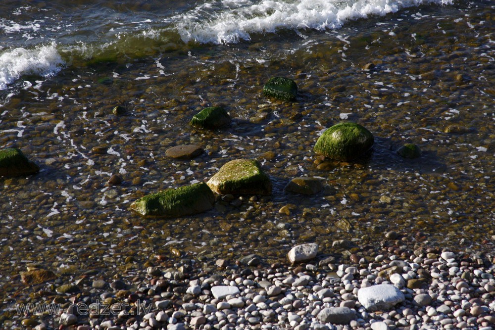 Akmeņi jūrmalā