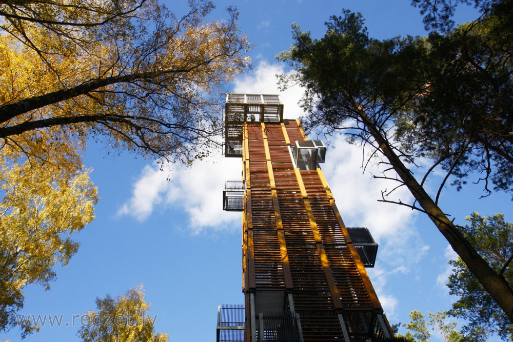 Skatu tornis Dzintaru mežaparkā