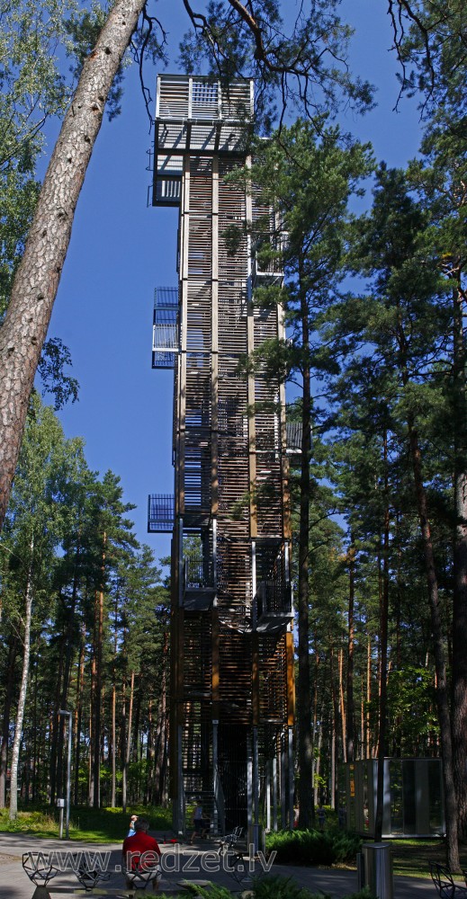 Dzintaru mežaparka skatu tornis 