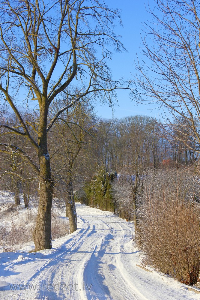 Lauku ceļš ziemā