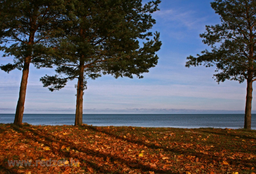 Rudens ainava pie jūras