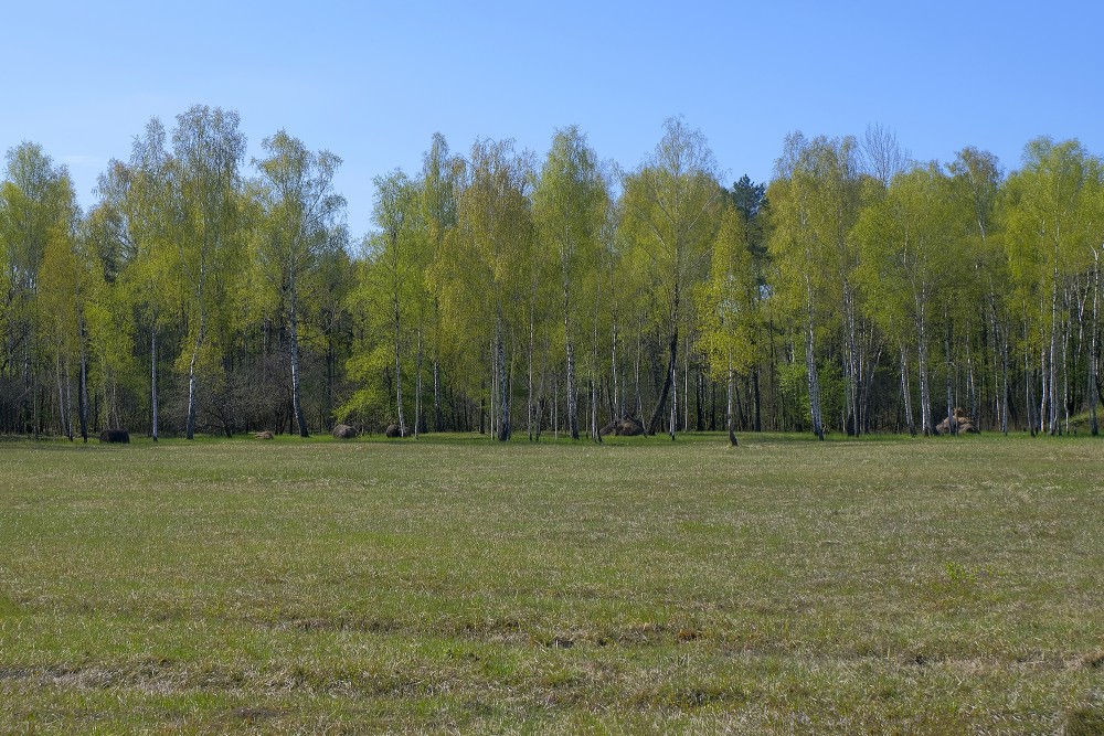 Pļava Aklā ezera dienvidu galā