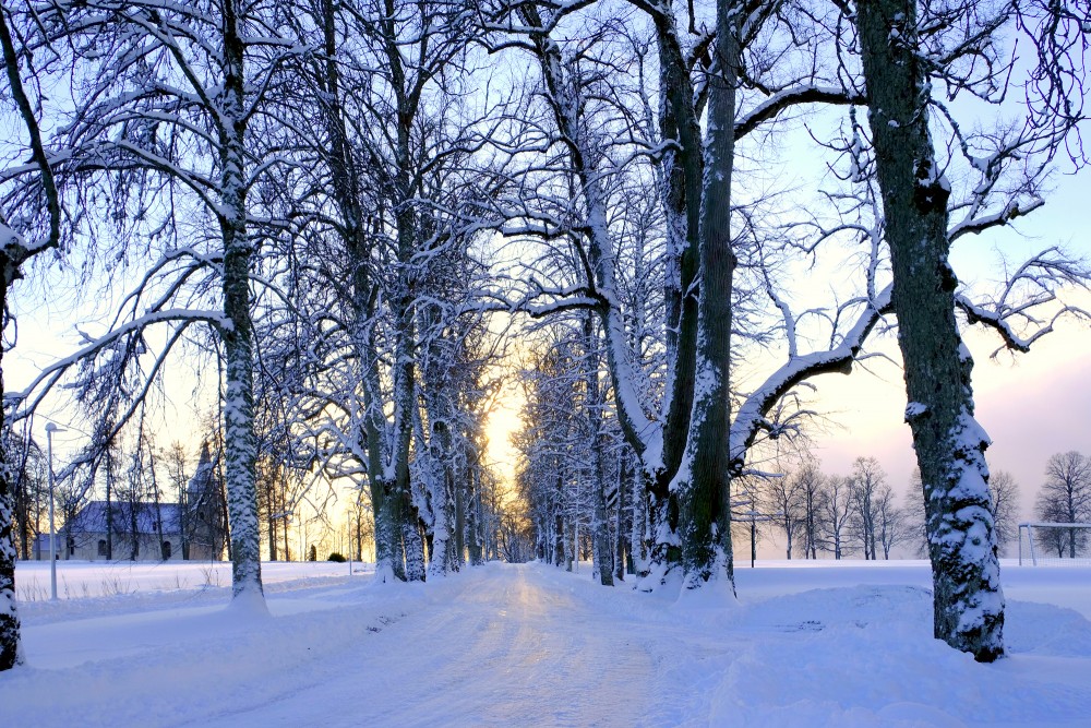 Alley in Winter