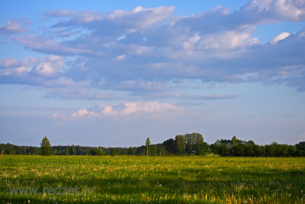 Lauku ainava Lauku ainava