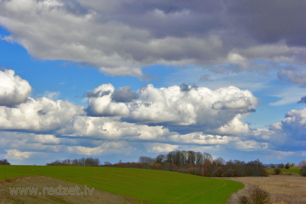 Spring Landscape