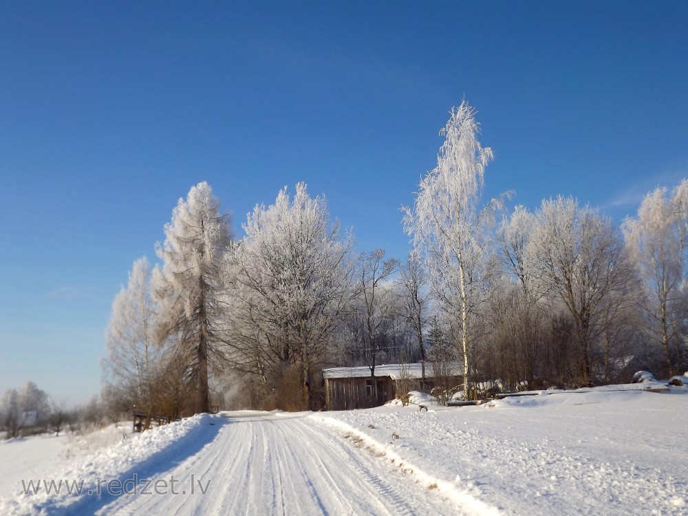 Ziemas ainava ar apsarmojušiem kokiem