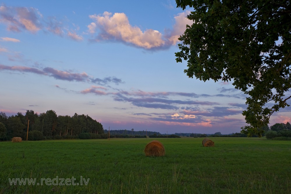 Evening landscape with hay rolls