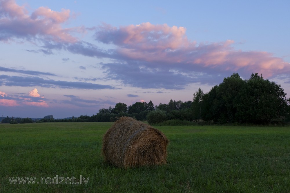 Evening landscape with hay rolls