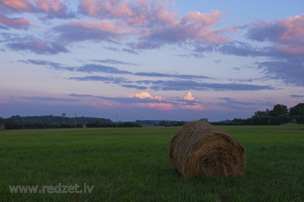 Evening landscape with hay rolls