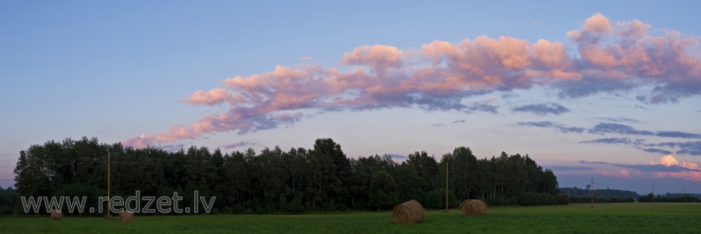 Evening landscape with hay rolls