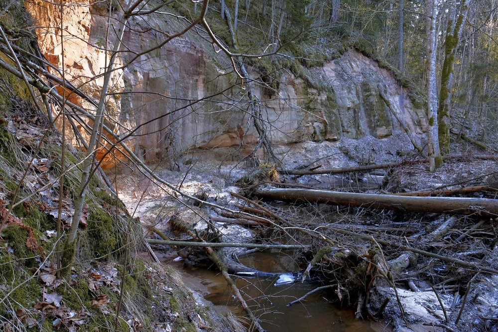 Kaļķupes klintis Kaļķupes klintis