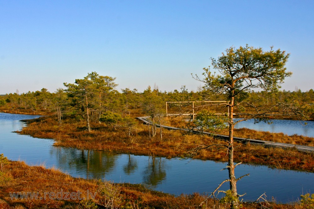 Great Ķemeri Bog Landscape