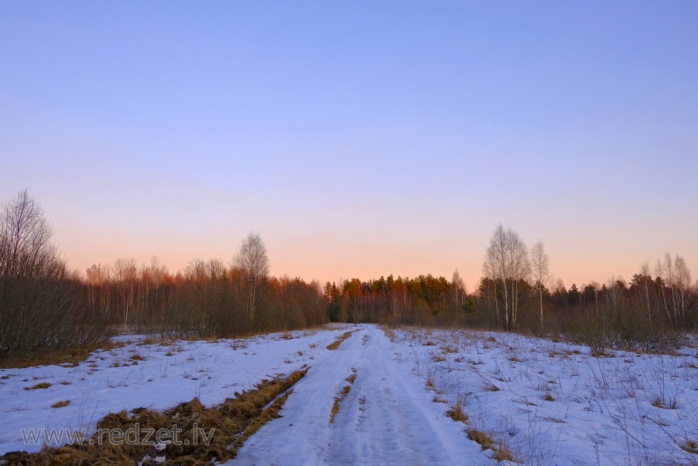 Winter Landscape at Sunset