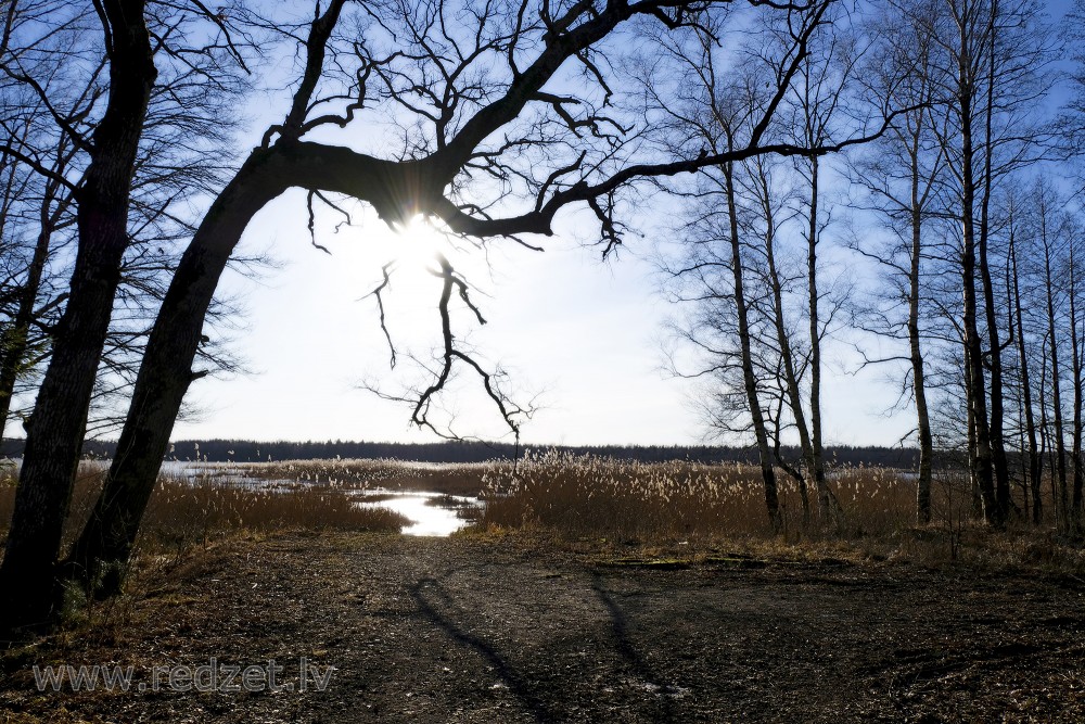 View of Lake Sloka