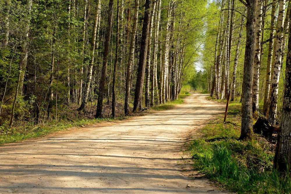 Vecais ceļš by Dūņu Road