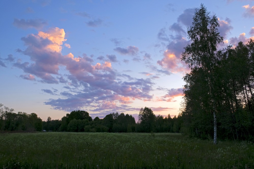 Rīta ainava