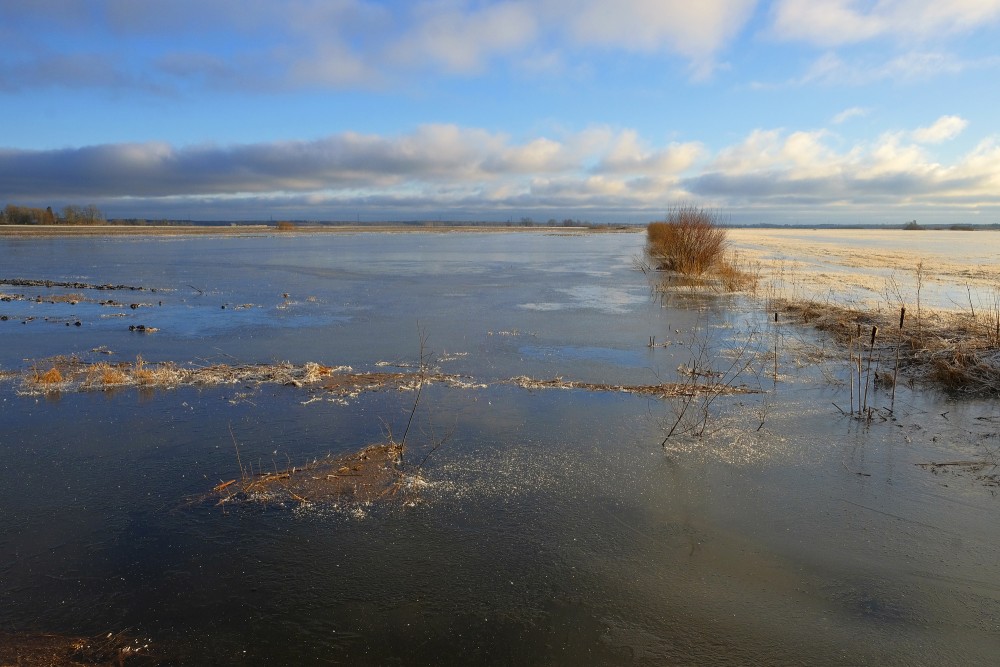 Flooded Fields in Winter