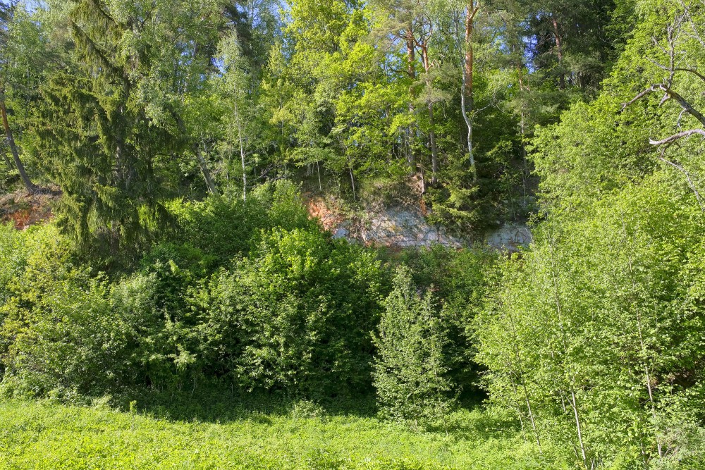 Aņītes Vidējais iezis