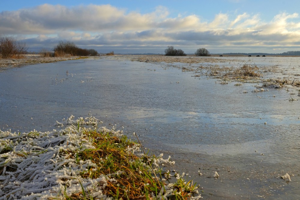 Flooded Fields in Winter