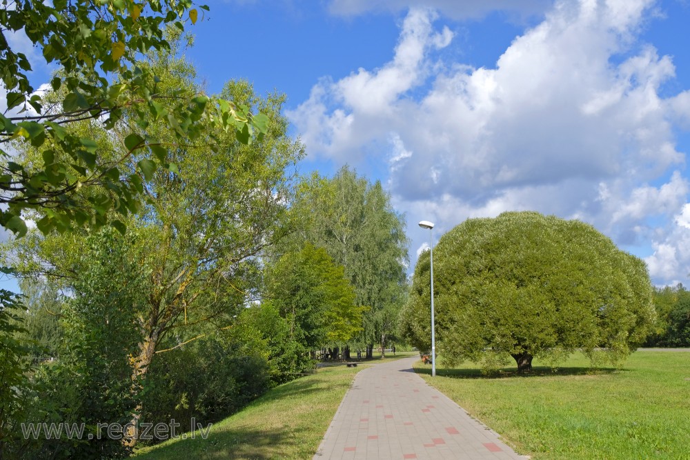 Bike path near Ozolnieki Lake