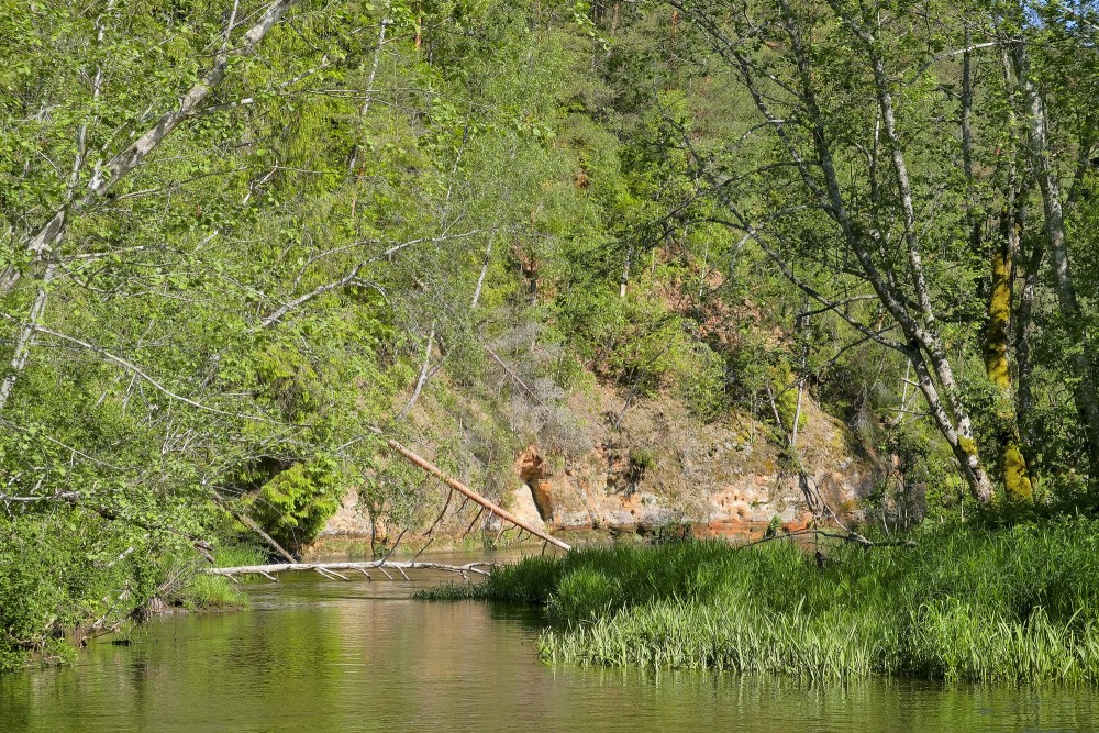 Aņītes Augstais iezis