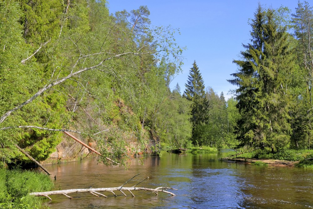 Aņītes Augstais iezis