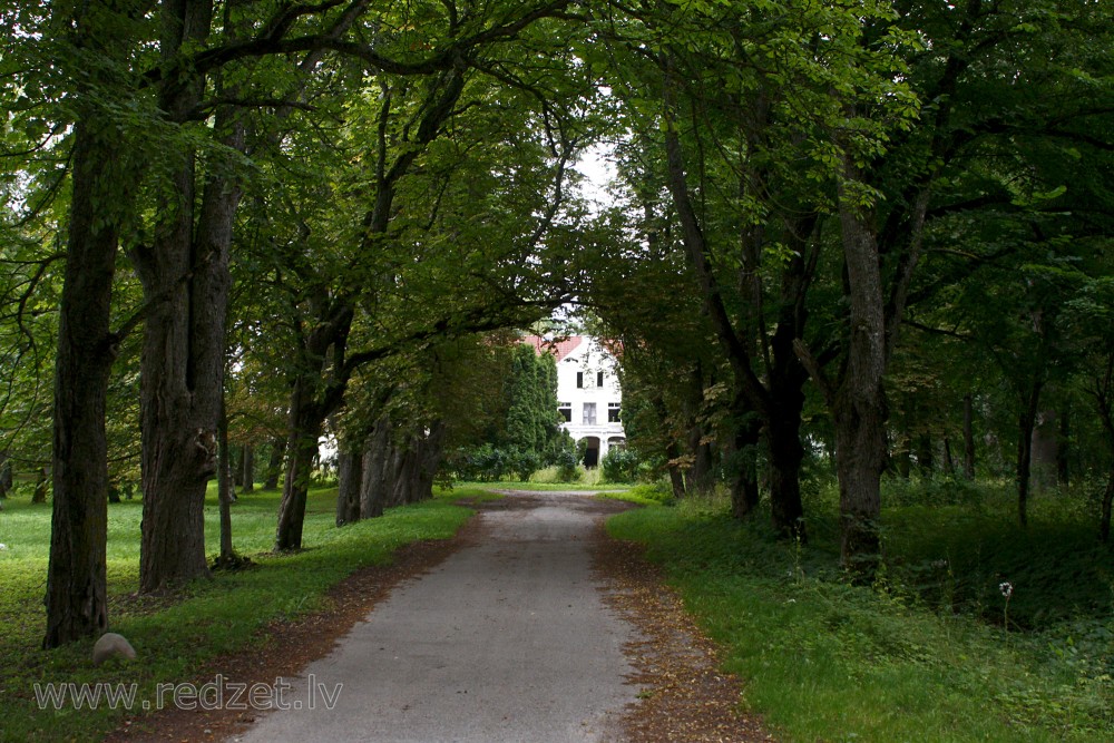  Zūru muižas aleja
