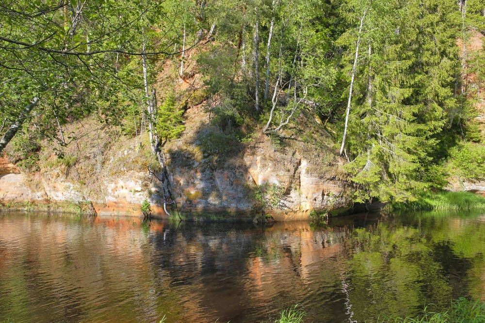 Aņītes Augstais iezis (Braslas atsegumi)