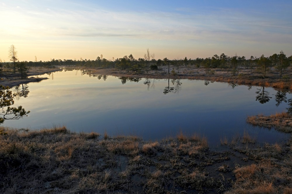 Spring morning in the Great Kemeri Bog