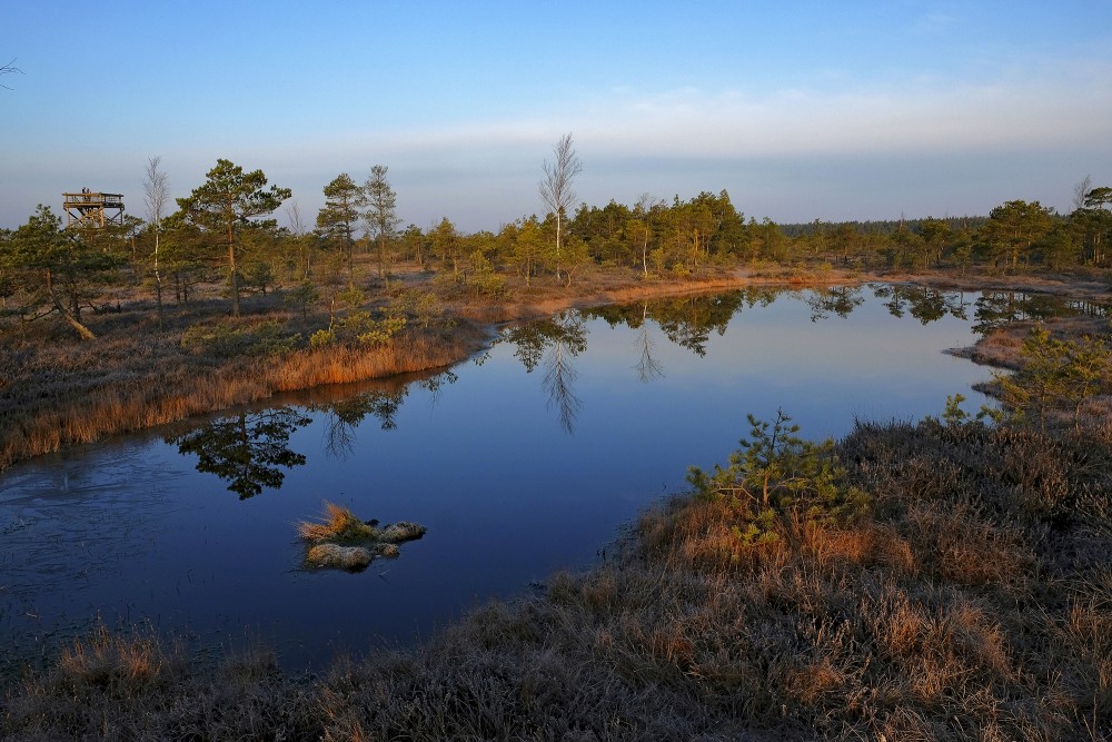 Swamp Lakes