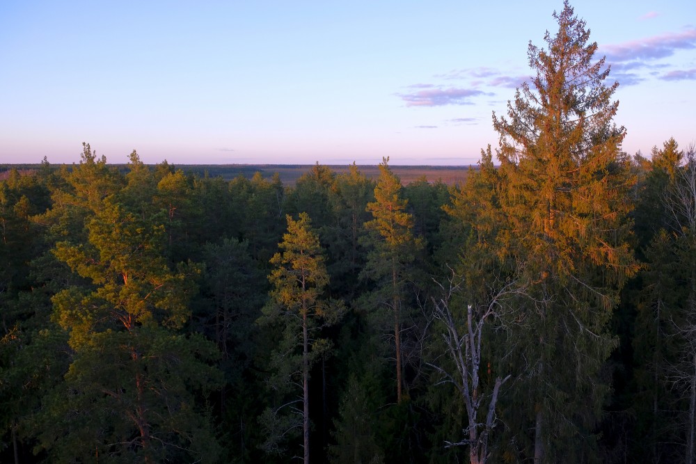 View from the Kangari Observation Tower