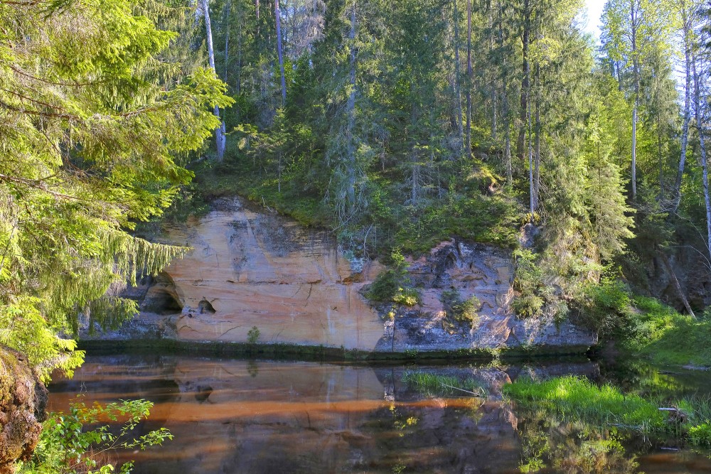 Melnais iezis (Braslas upes ieži)