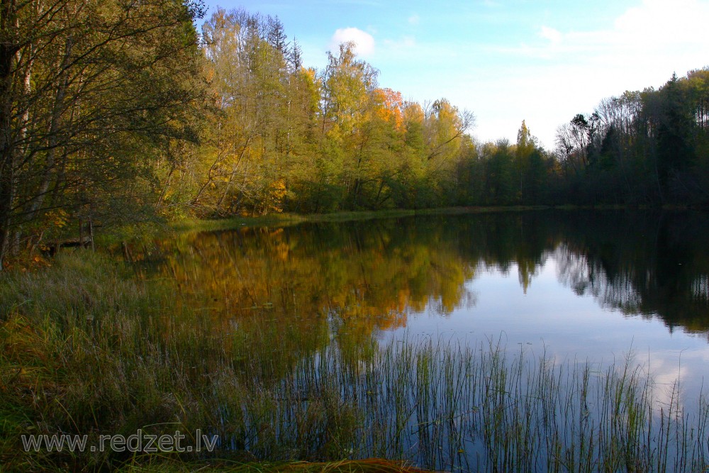 Dabas parks Pilskalnes “Siguldiņa” rudenī