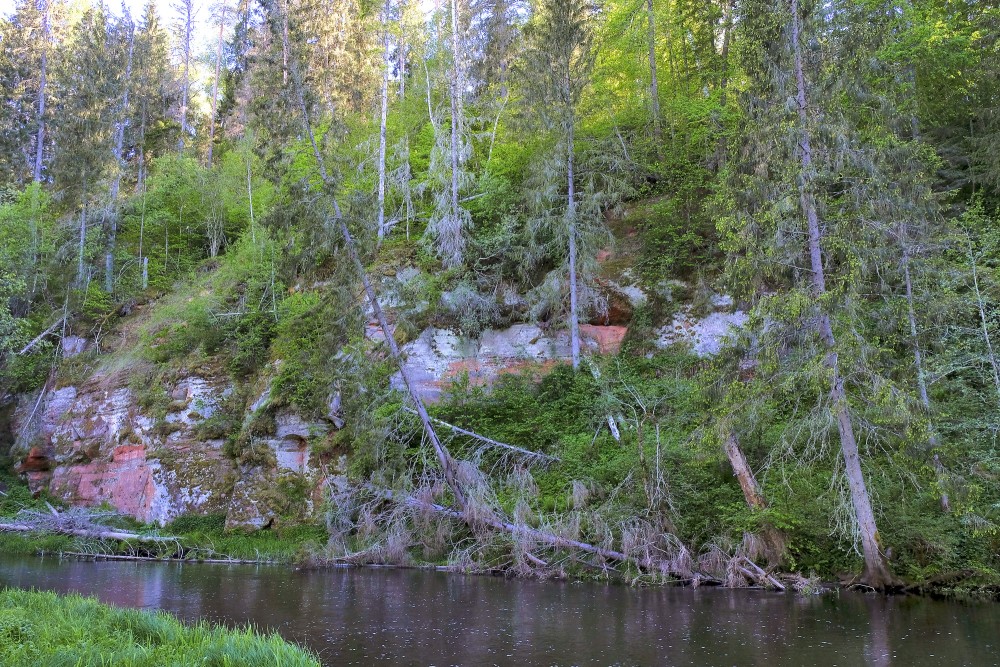 Virtakas iezis (arī Sarkanais iezis)