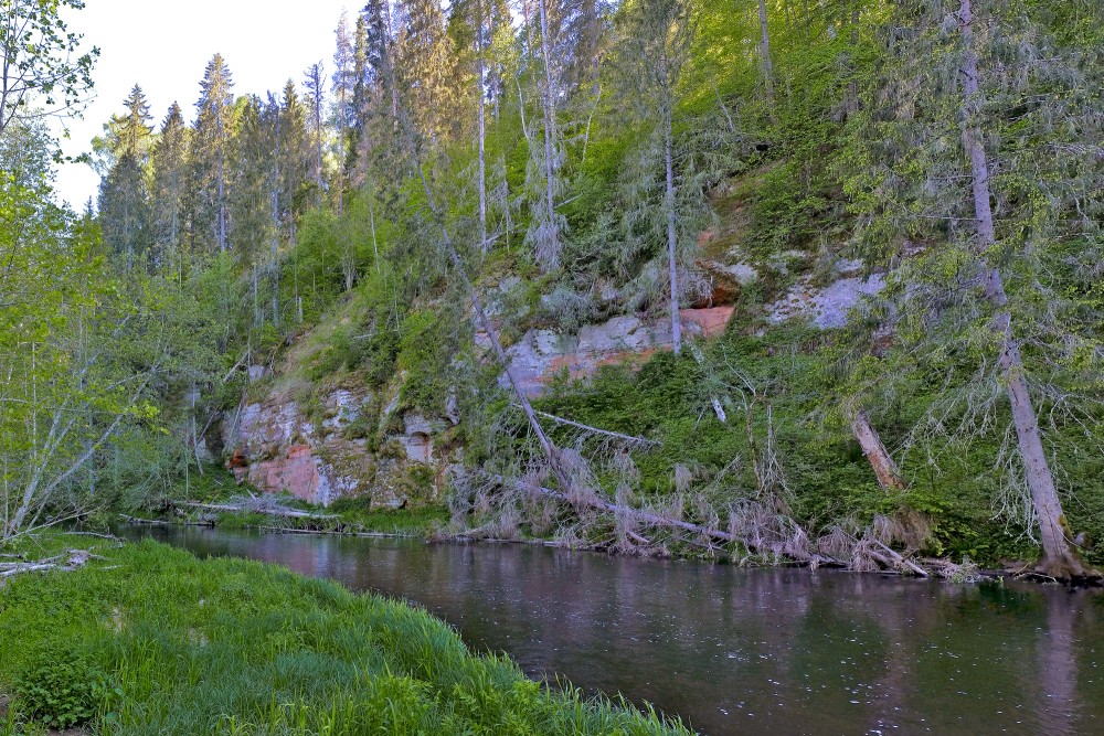 Virtakas iezis (Kraujas iezis)