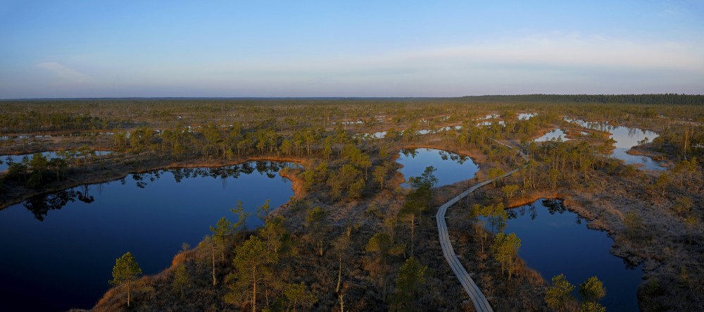 Ķemeru tīreļa panorāma no skatu torņa