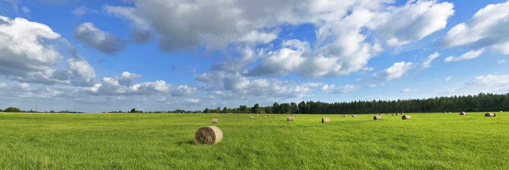 Panorāmas ainava ar siena ruļļiem zaļā laukā zem mākoņainām debesīm