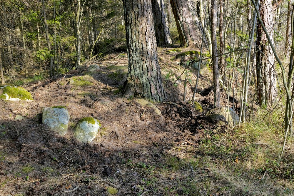 Akmeņi mežā Akmeņi mežā