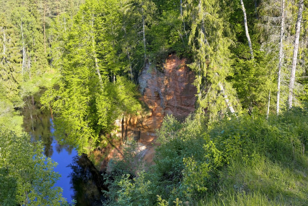 Slūnu ieža fragments skatā no augšas