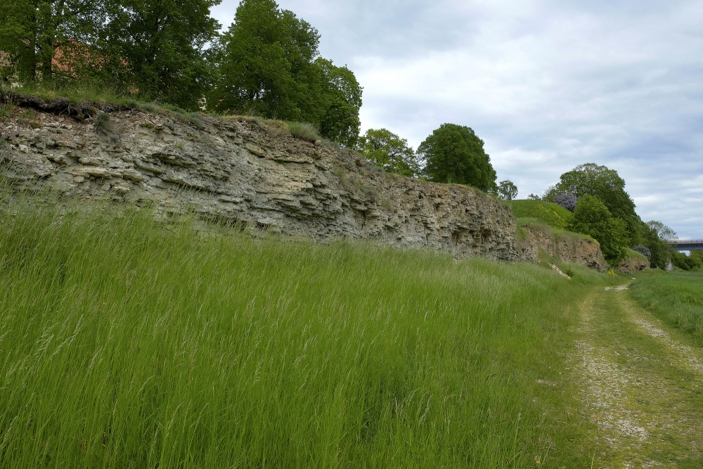 Mūsas labā krasta dolomīta atsegumi Bauskā
