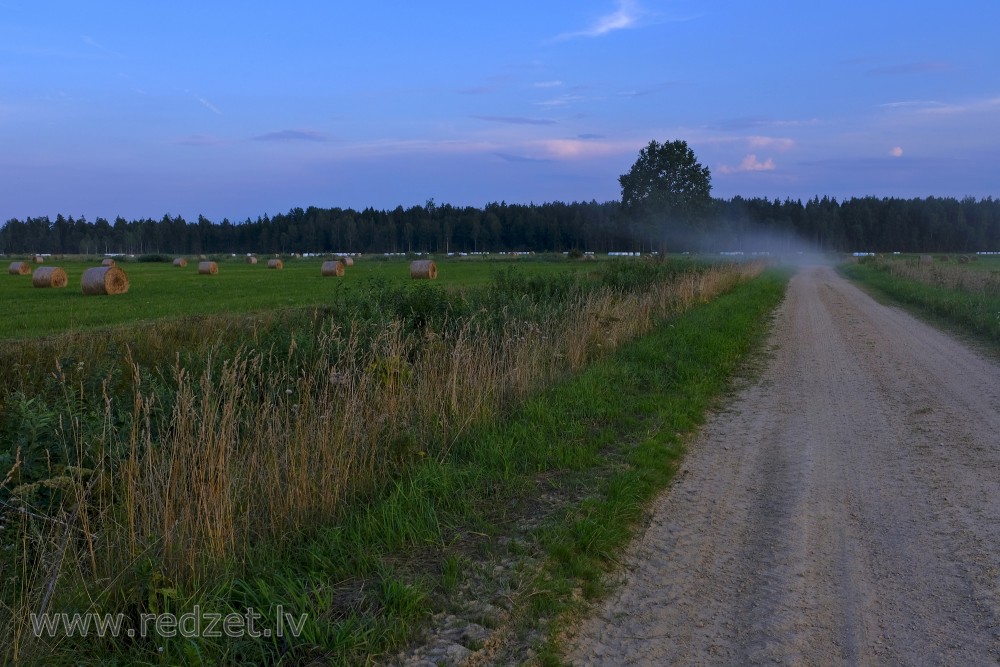 Landscape with hay rolls