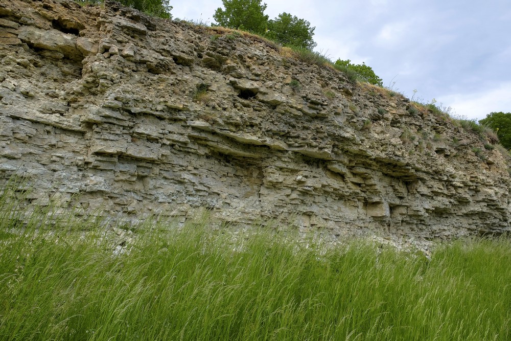 Mūsas labā krasta dolomīta atsegumi Bauskā