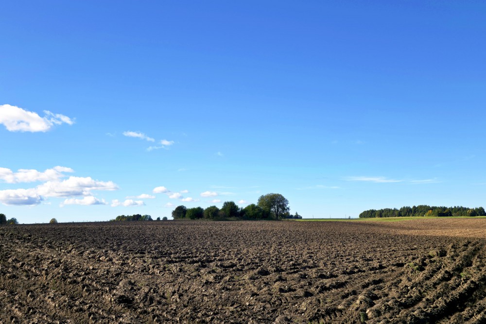 Uzarts lauks saulainā rudens dienā zem zilām debesīm Uzarts lauks saulainā rudens dienā zem zilām debesīm