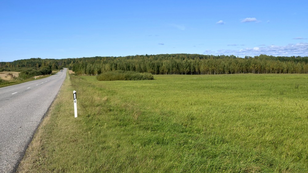 Asfaltēts lauku ceļš un zaļa pļava ar mežu fonā Asfaltēts lauku ceļš un zaļa pļava ar mežu fonā