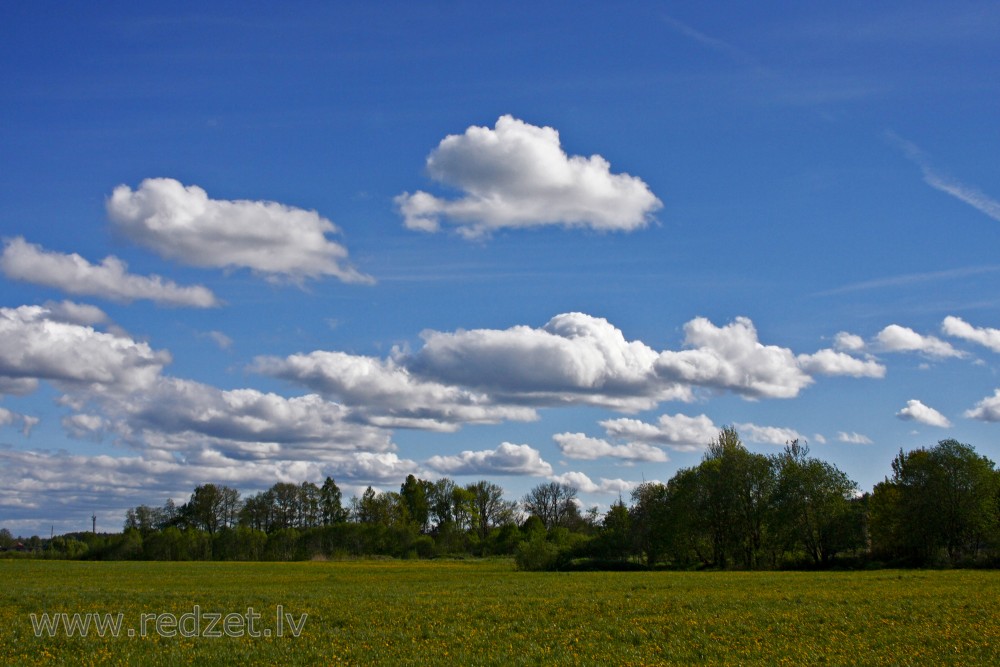 Ainava ar gubumākoņi