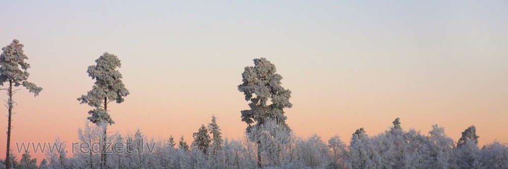 Ziemas rīta panorāma