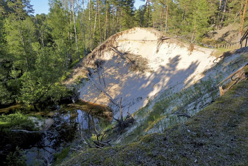 Pūrciema Baltās kāpas dabas taka