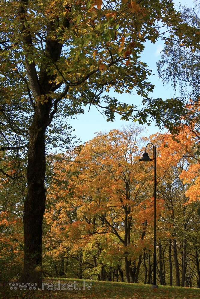 Grīziņkalna parks rudenī