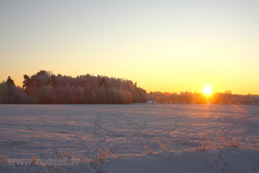 Ziemas rīts ar uzlecošu sauli