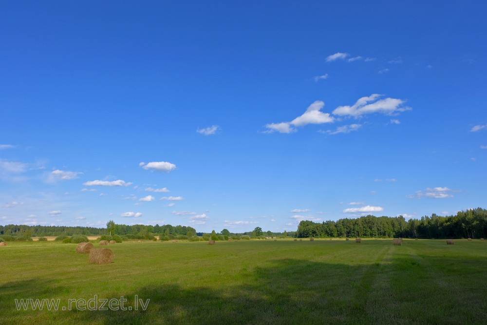 Landscape with hay rolls
